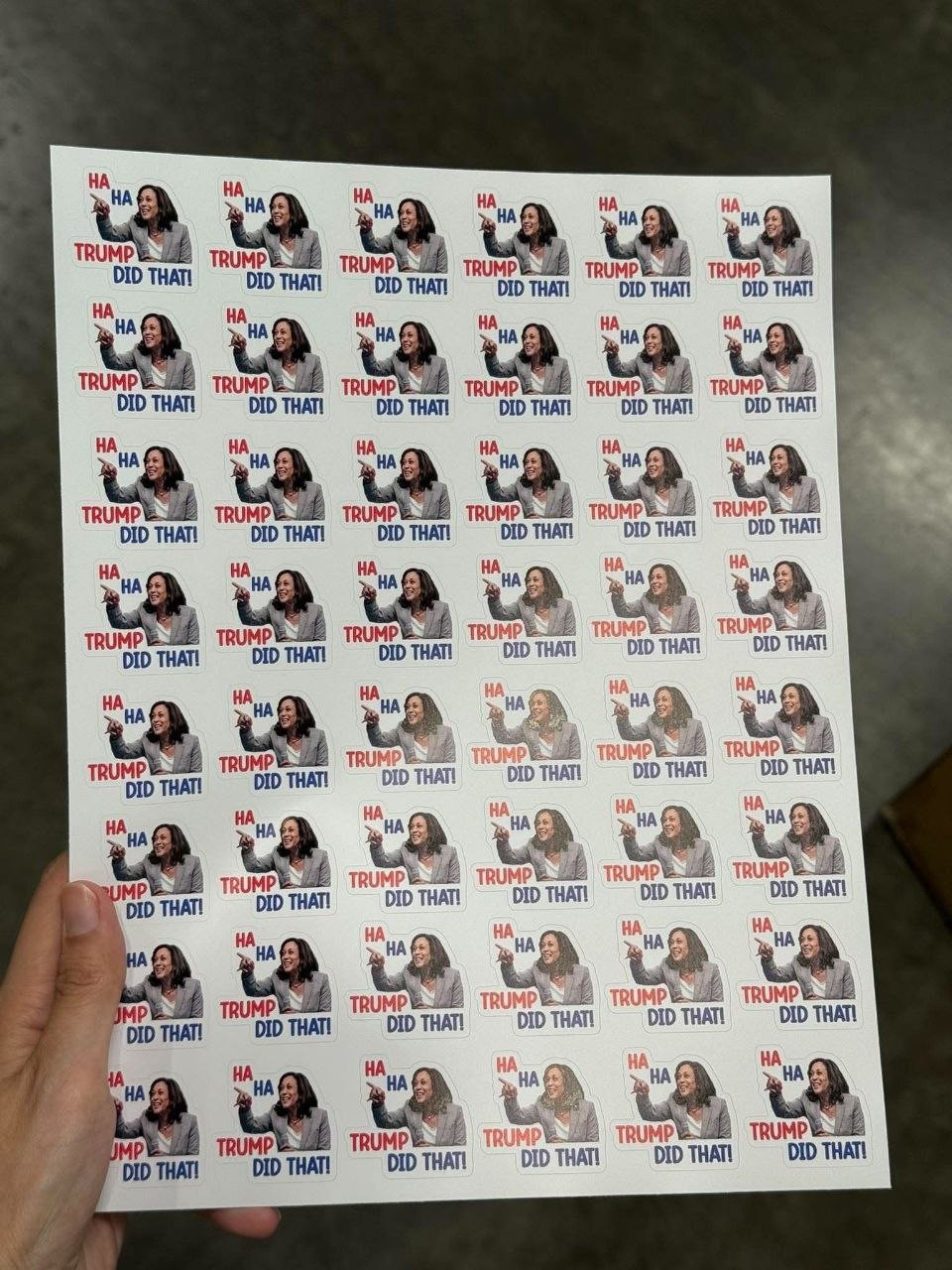 Trump Did That!" Sheet Sticker - Image 6