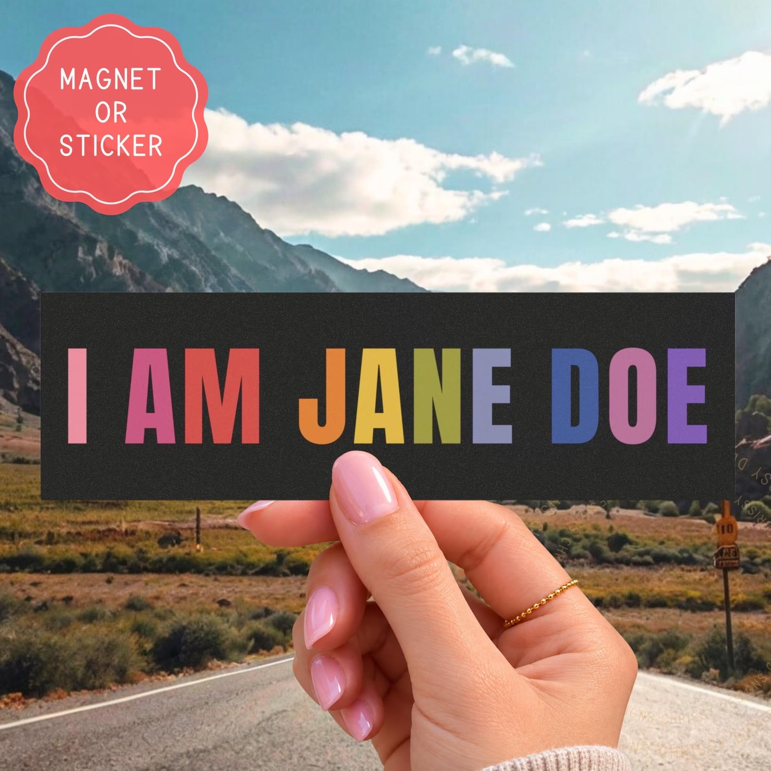 TT - I Am Jane Doe Sticker Sheet, I Hope She Bankrupts Cornell, Justice For Jane Doe Magnet or Vinyl Sticker - Image 4