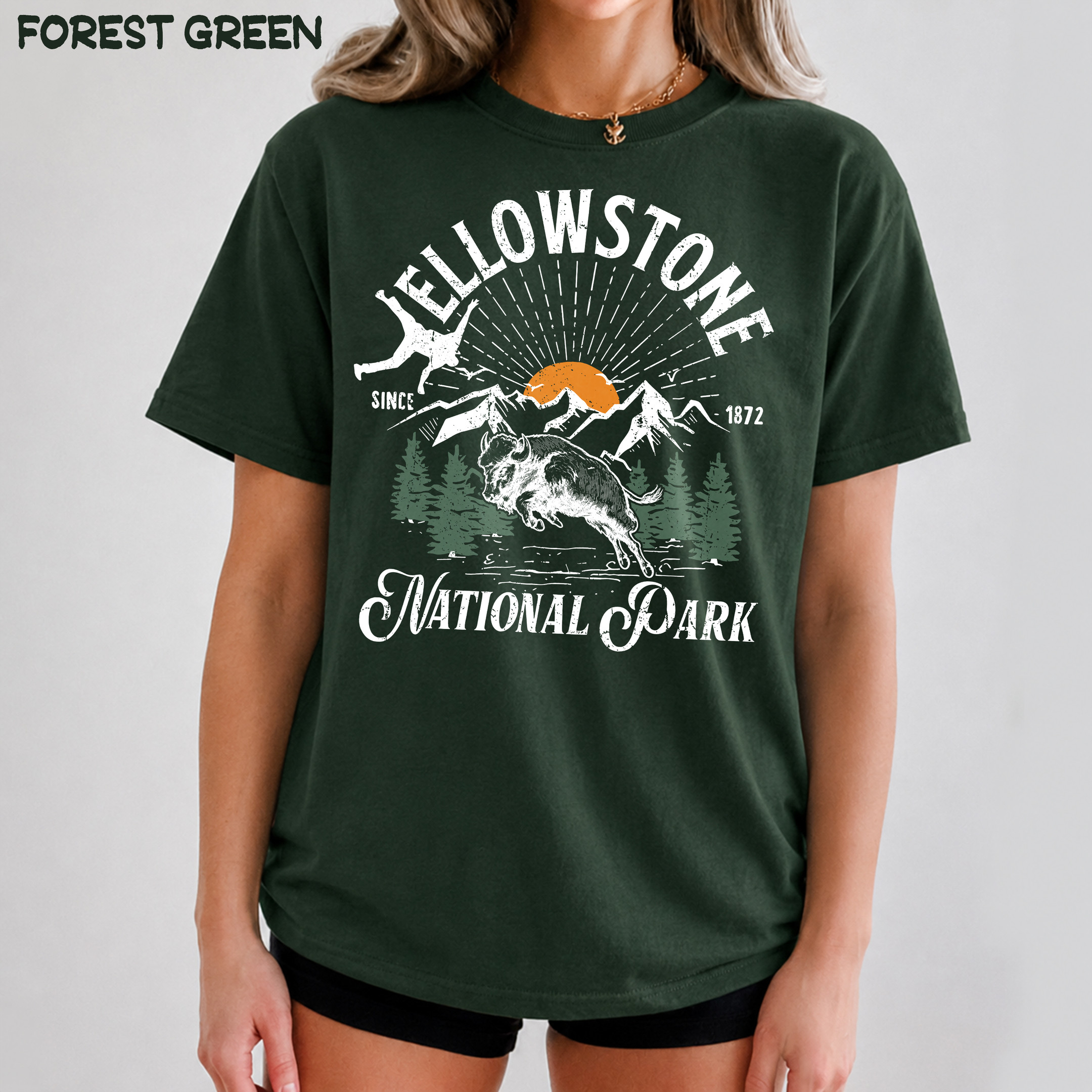 NA - Logo Bison Yellowstone National Park Shirts - Image 3