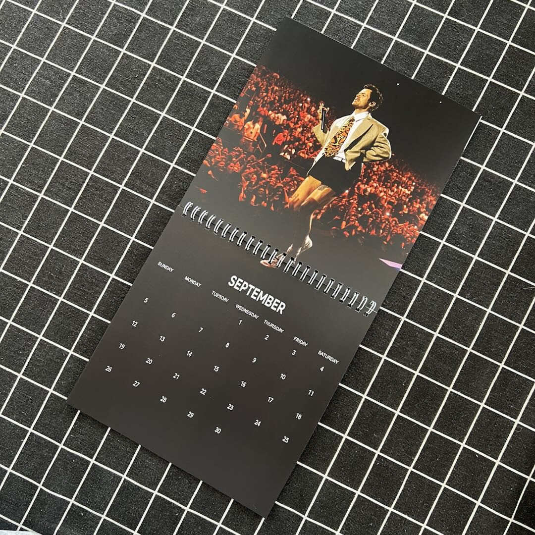 NN - Harry Styles Wall Calendar 2027 - Image 5