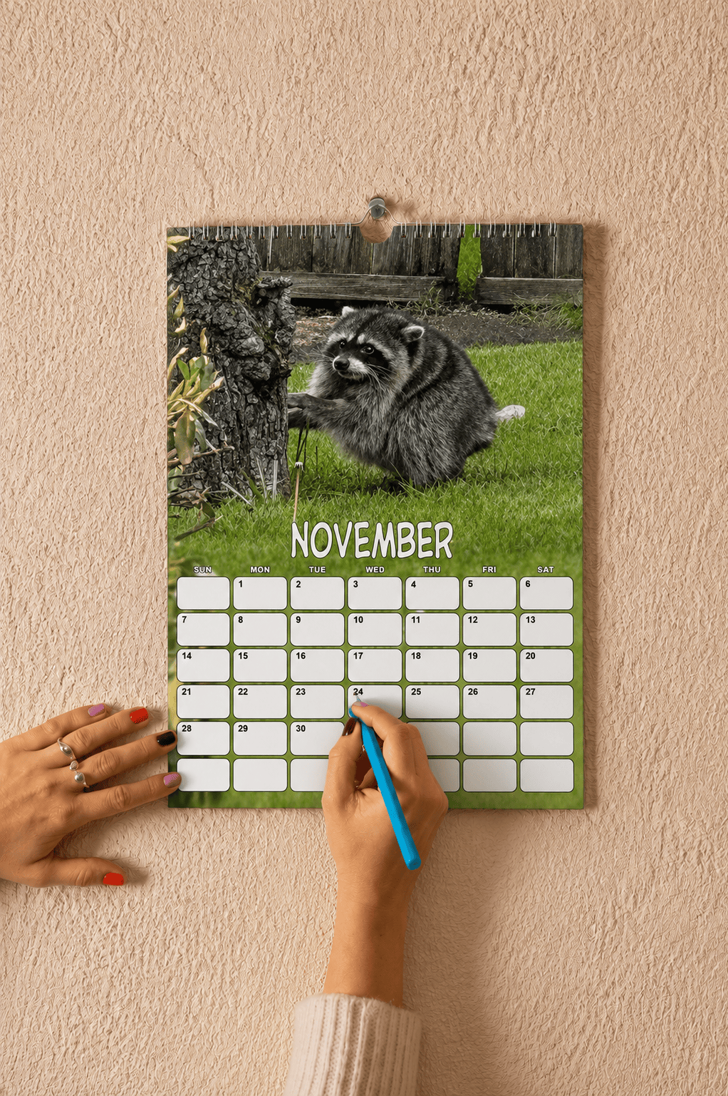 TT - Jimothy Raccoon 2026 - 2027 Hanger Vertical Calendar - Image 5