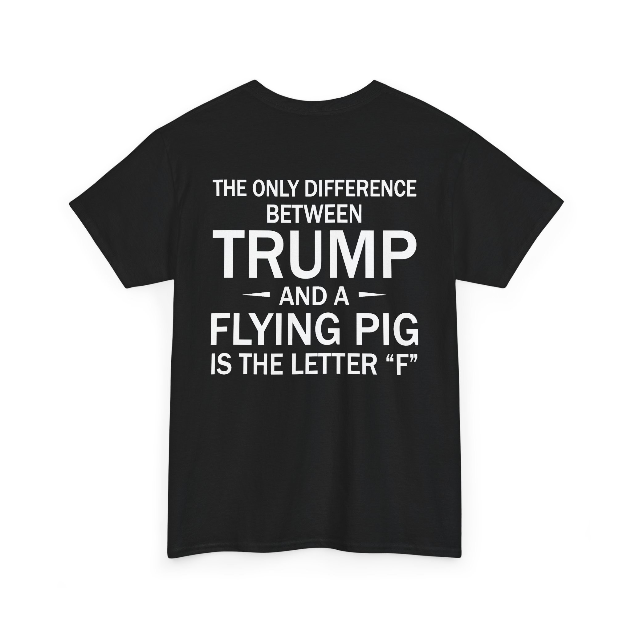 NS - Flying Pig Shirt - Image 2