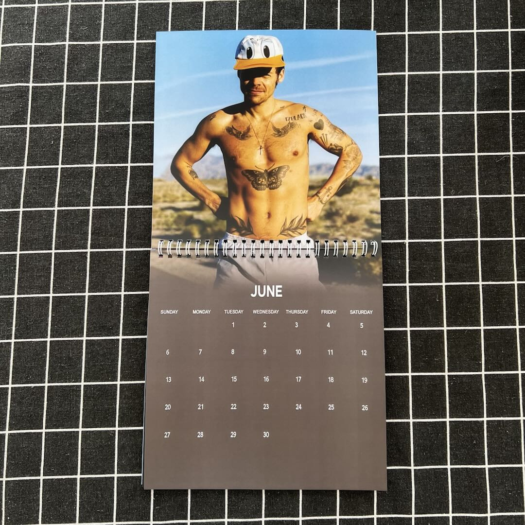 NN - Harry Styles Wall Calendar 2027 - Image 4