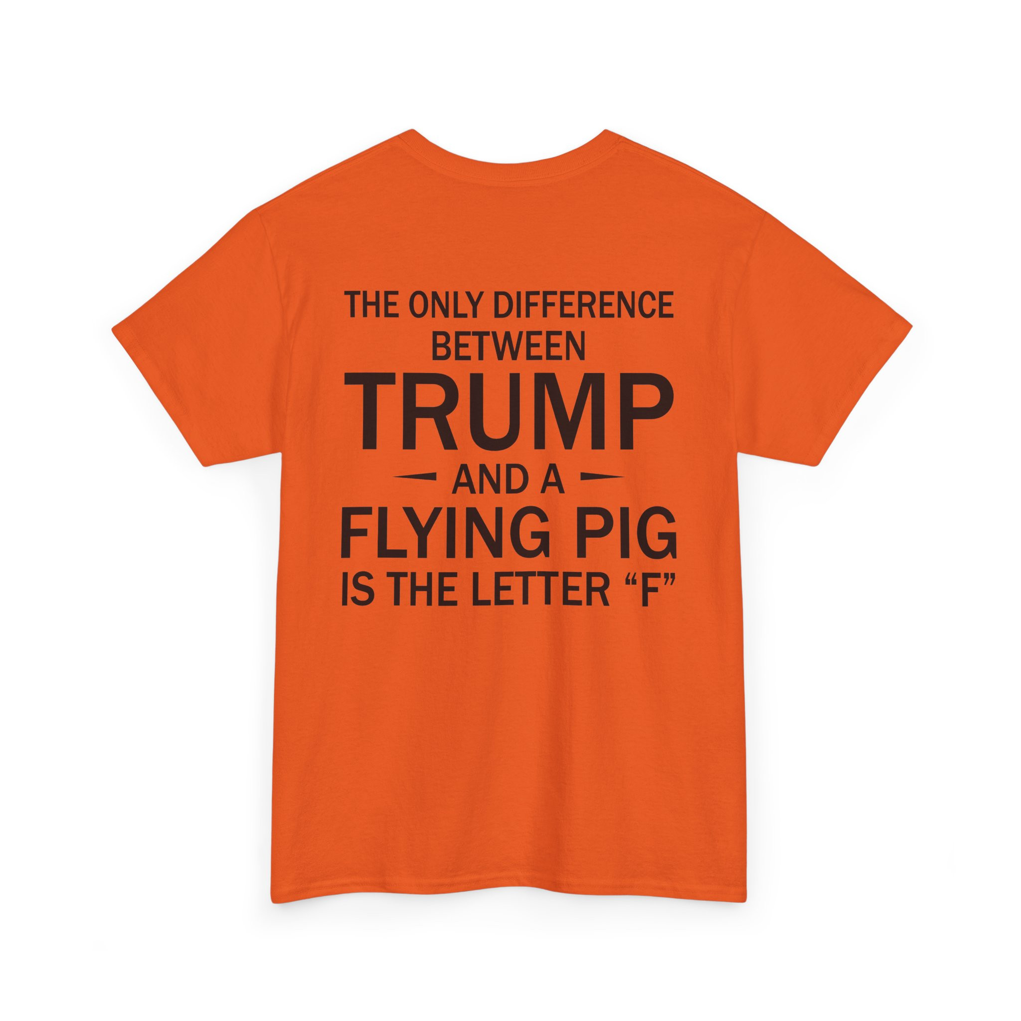 NS - Flying Pig Shirt