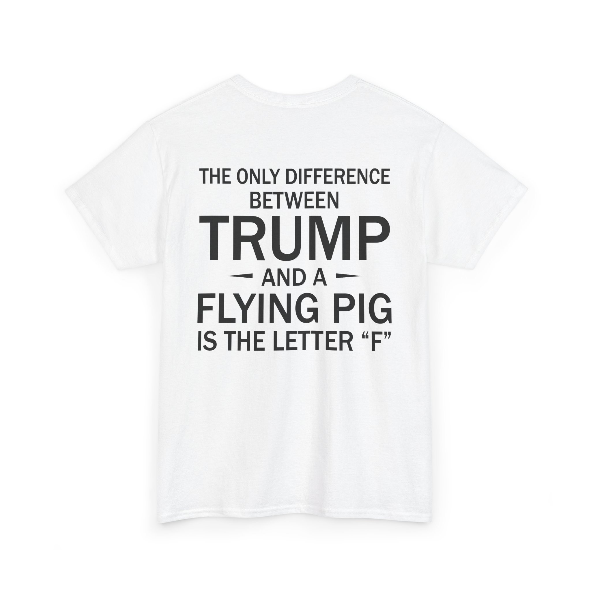 NS - Flying Pig Shirt - Image 3