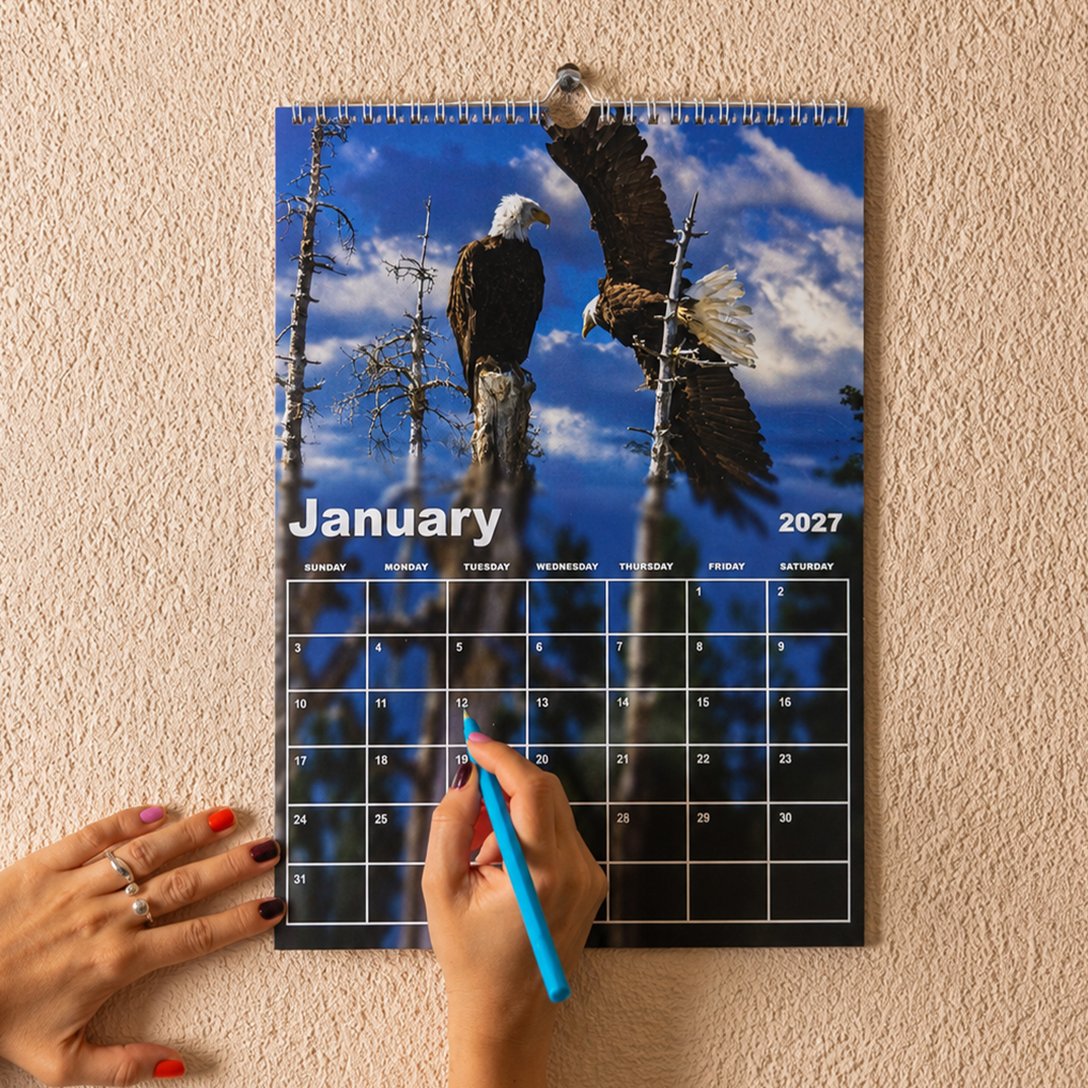 NA - V2 Jackie and Shadow Eagle 2026 - 2027 Hanger Vertical Calendar - Image 6